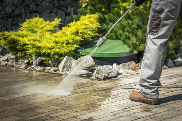 Best Sidewalk and Walkway Cleaning  in Armona, CA