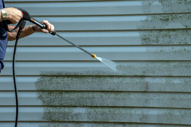 Best Gutter Cleaning  in Armona, CA